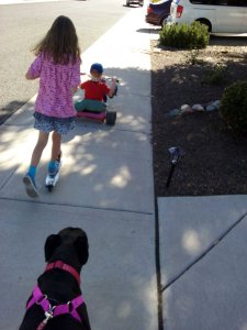 It's a glorious handful