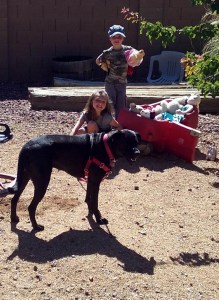 The Polar Express, Az. style